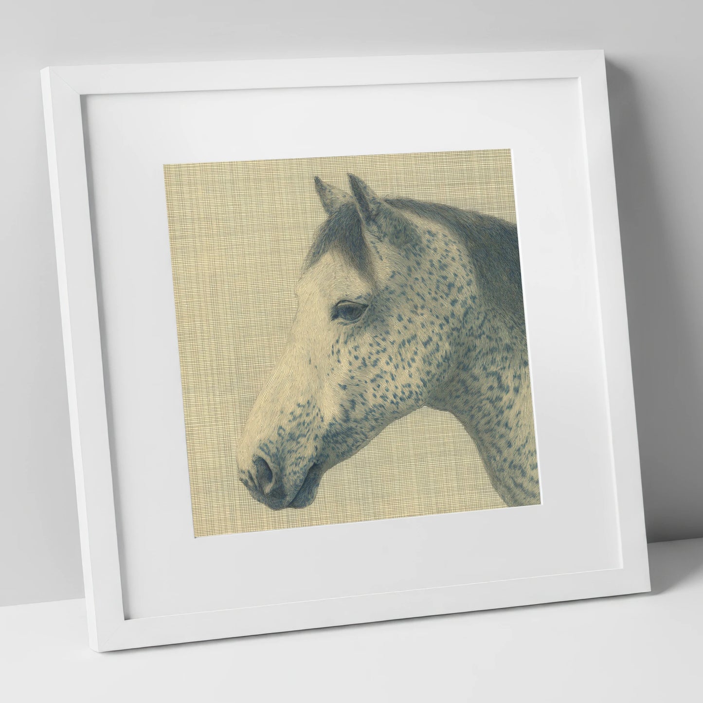 Meticulous Speckled Grey horse breed art print in white frame