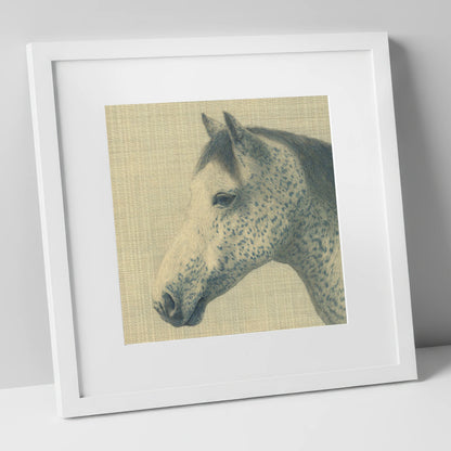 Meticulous Speckled Grey horse breed art print in white frame