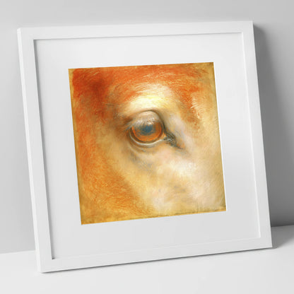 The Amber Gaze horse portrait art print in white frame