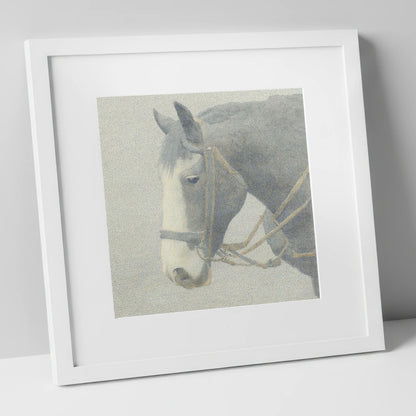 Steadfast Working Profile working horse art print in white frame