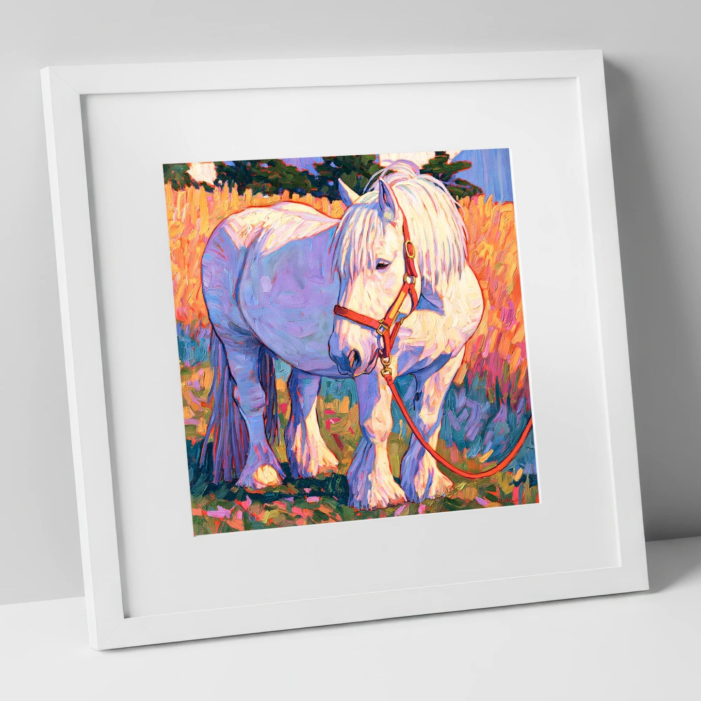 Feathered Cob in Vibrant Light horse breed art print in white frame