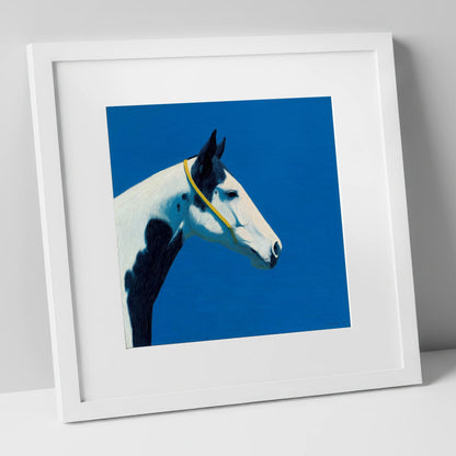 Azure Piebald Profile horse breed art print in white frame