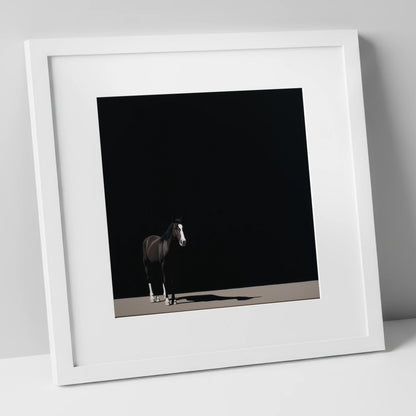 Solitary in Shadow horse portrait art print in white frame