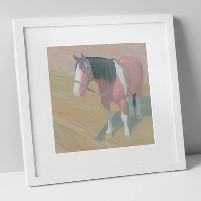 The Gentle Skewbald working horse art print in white frame