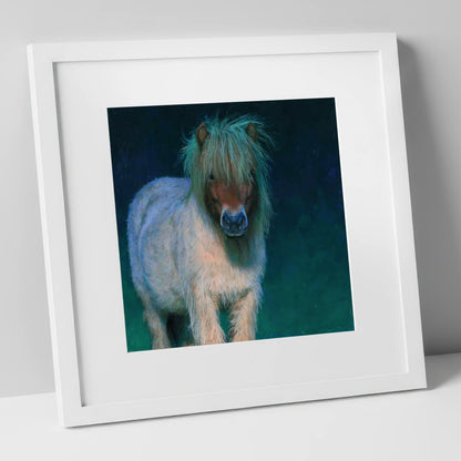 Shetland Pony in Moonlight horse breed art print in white frame
