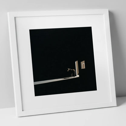 Solitary Light horse stable art print in white frame