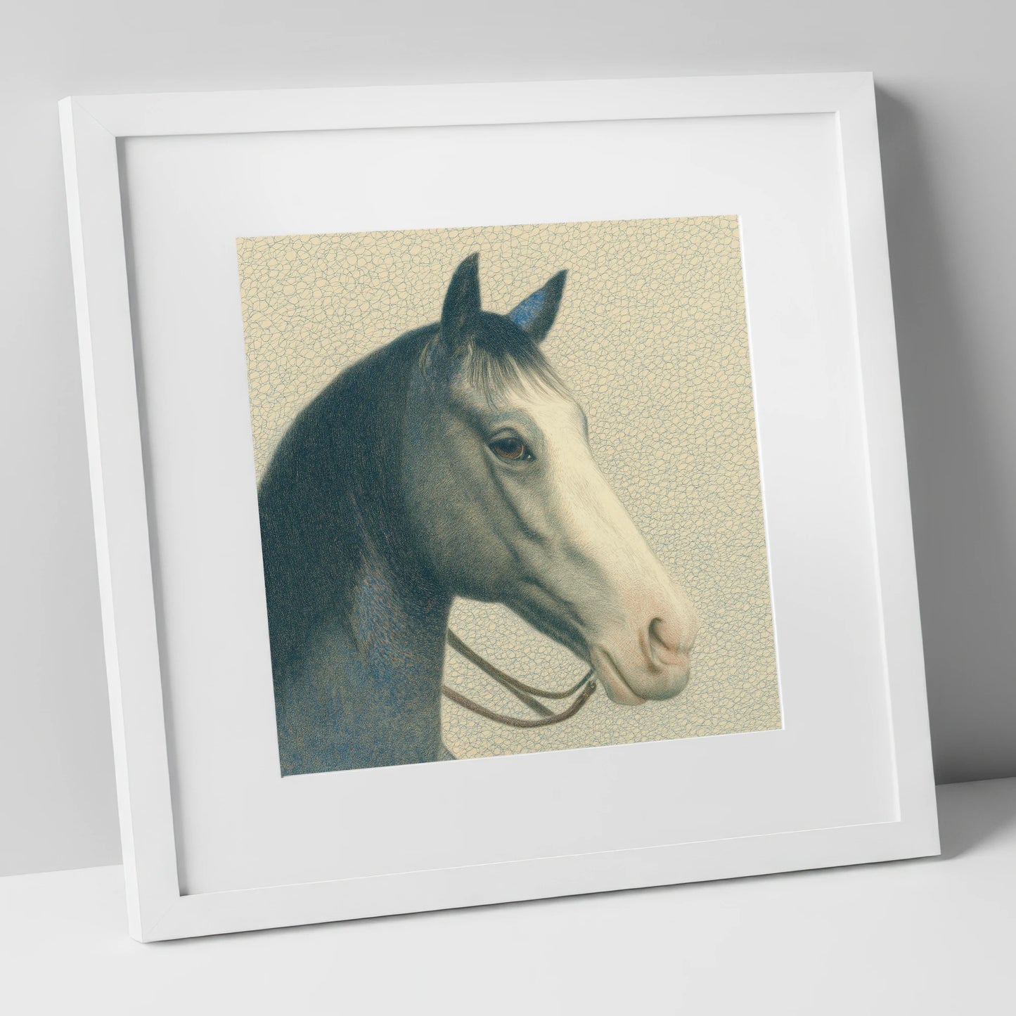 Noble Grey Portrait horse portrait art print in white frame