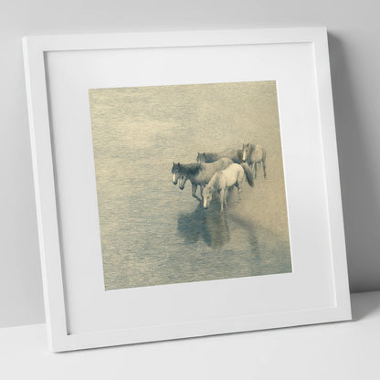 Reflections of the Herd wild horses art print in white frame