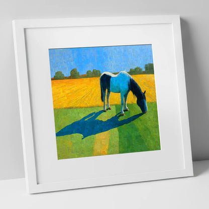Sunlit Piebald Grazer working horse art print in white frame