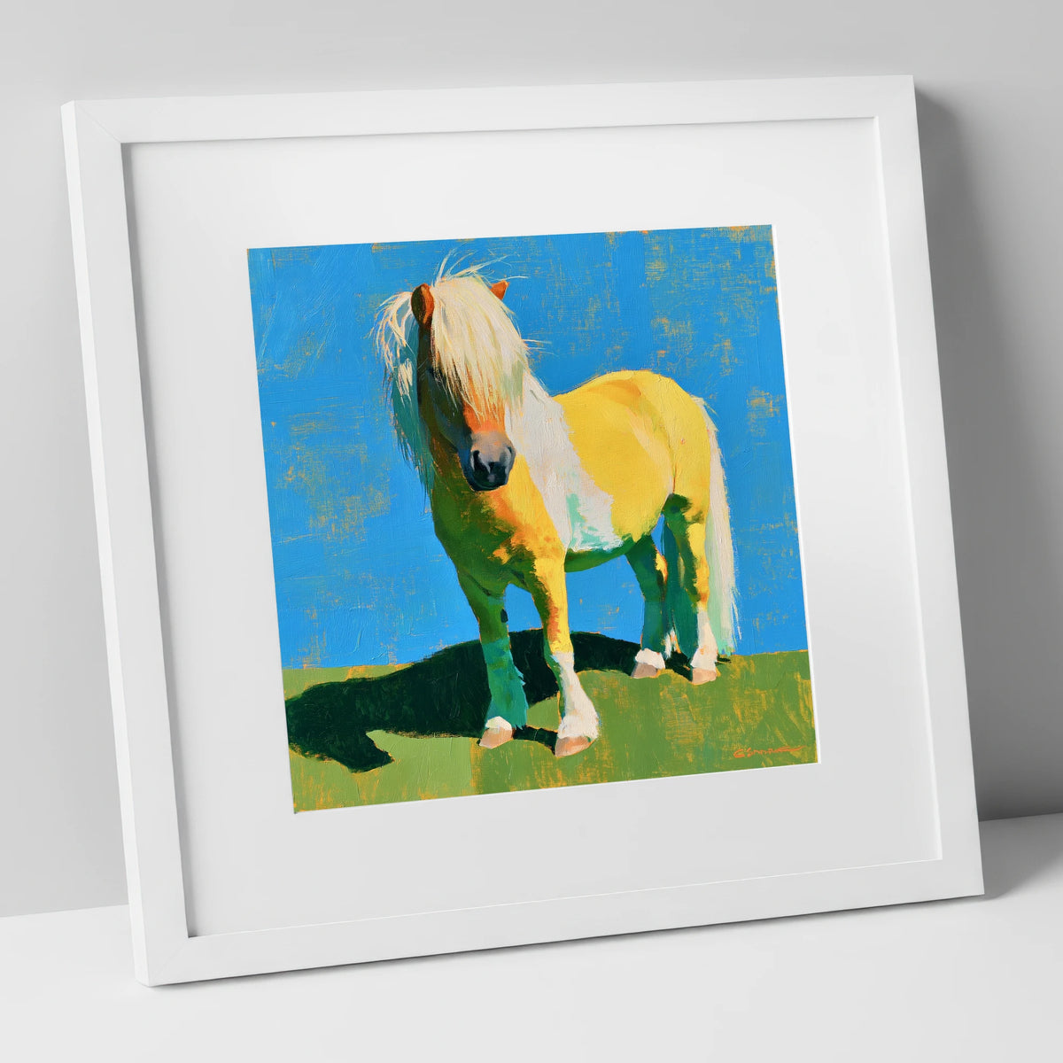 Sunlit Shetland Pony Portrait horse breed art print in white frame