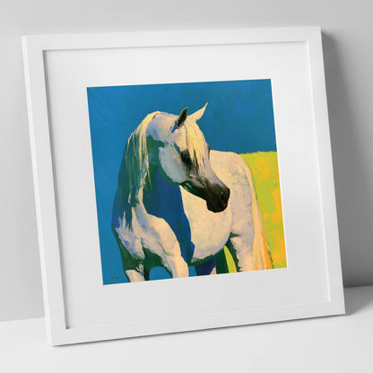 Sunlit Grey Arabian Horse horse breed art print in white frame