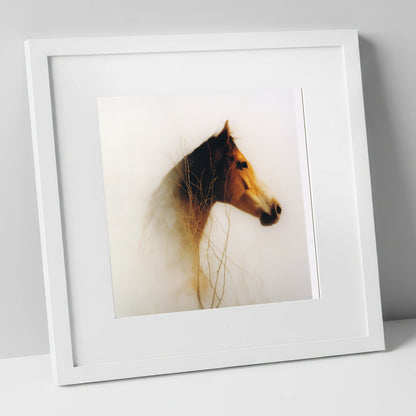 Ethereal Amber Portrait horse portrait art print in white frame