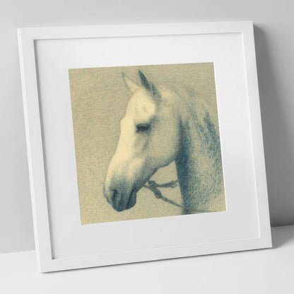 Quiet Nobility In Profile horse portrait art print in white frame