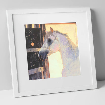 The Luminous Grey horse stable art print in white frame