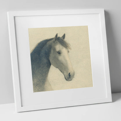 Vintage Slate Equine Profile horse breed art print in white frame
