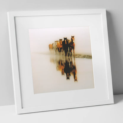 Emerging From The Mist wild horses art print in white frame