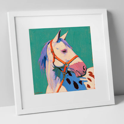 Colourful Appaloosa on Teal Background horse breed art print in white frame