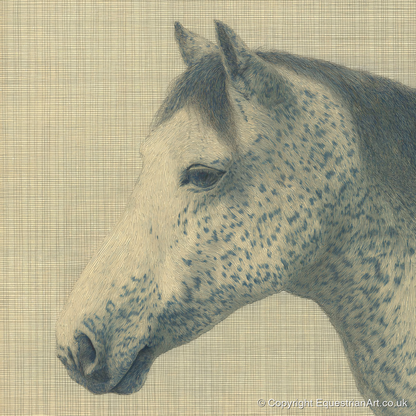 Meticulous Speckled Grey - horse breed art print and canvas by Arthur Sterling A.I
