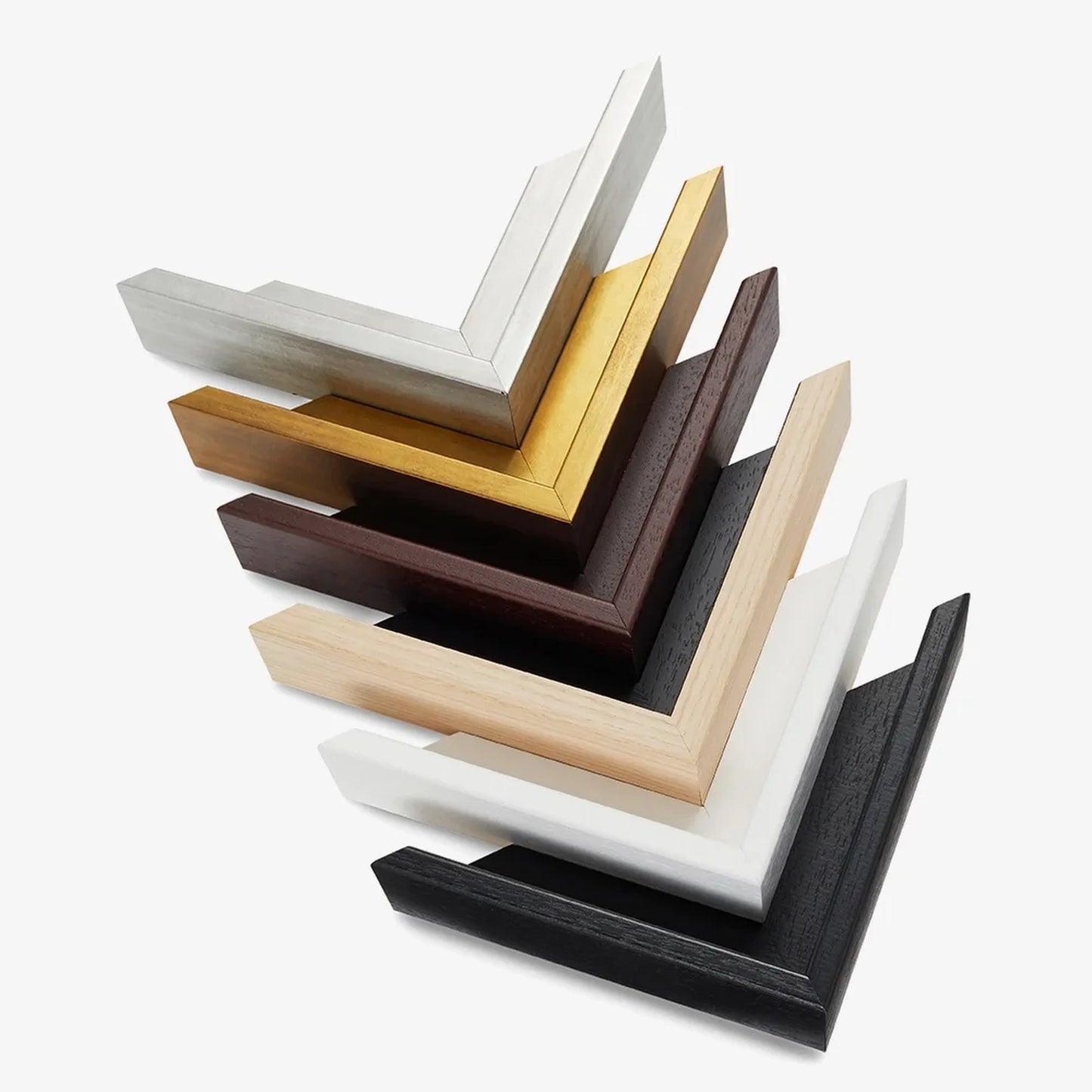 Vibrant Coastal Equine - float frame colour options - black, white, antique gold, antique silver, natural and brown