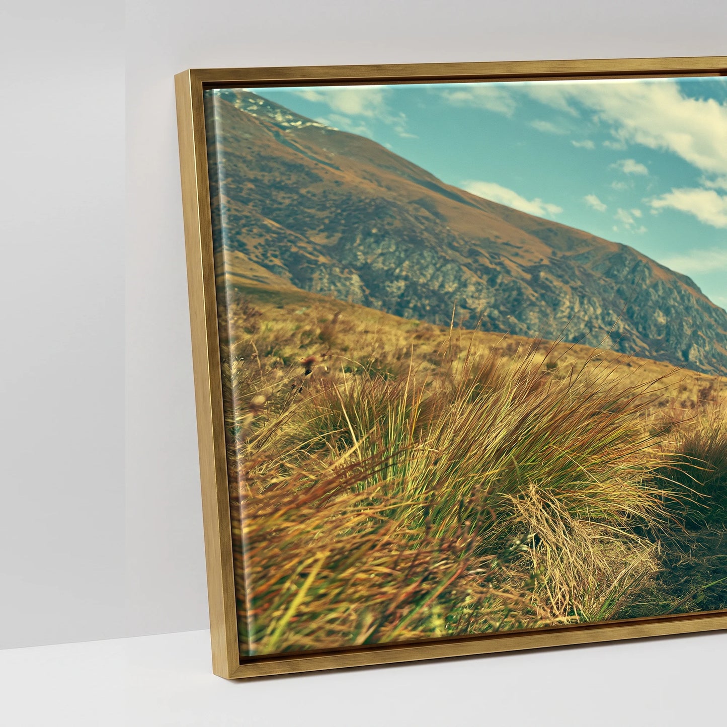 The High Pass - artwork detail in an antique gold float frame