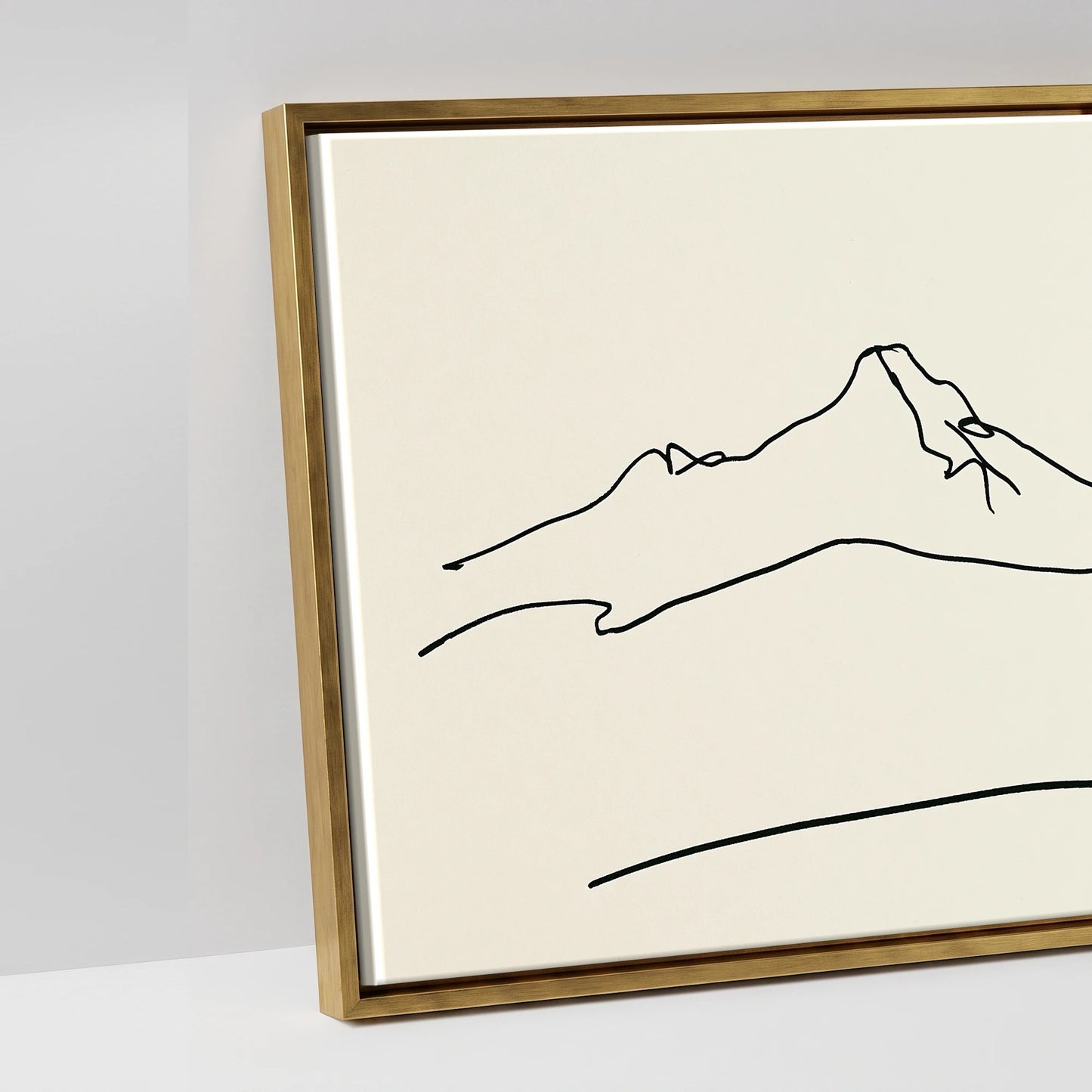Minimalist Equine Horizon - artwork detail in an antique gold float frame