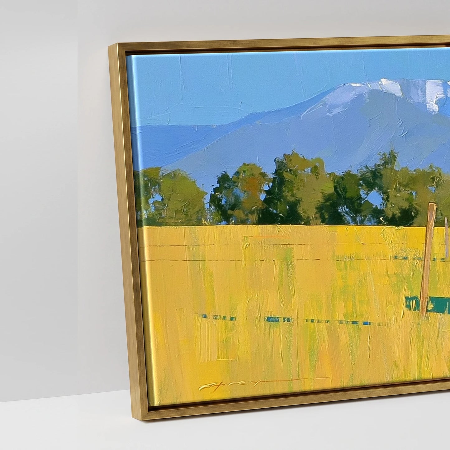 High Country Summer - artwork detail in an antique gold float frame