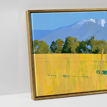 High Country Summer - artwork detail in an antique gold float frame