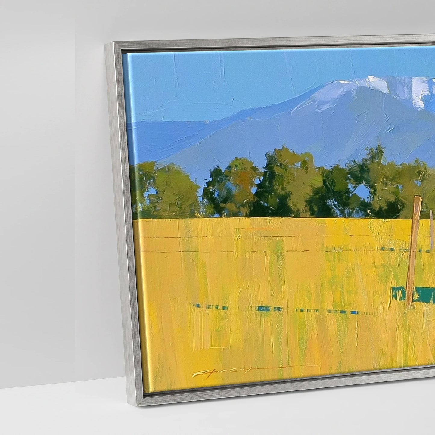 High Country Summer - artwork detail in an antique silver float frame