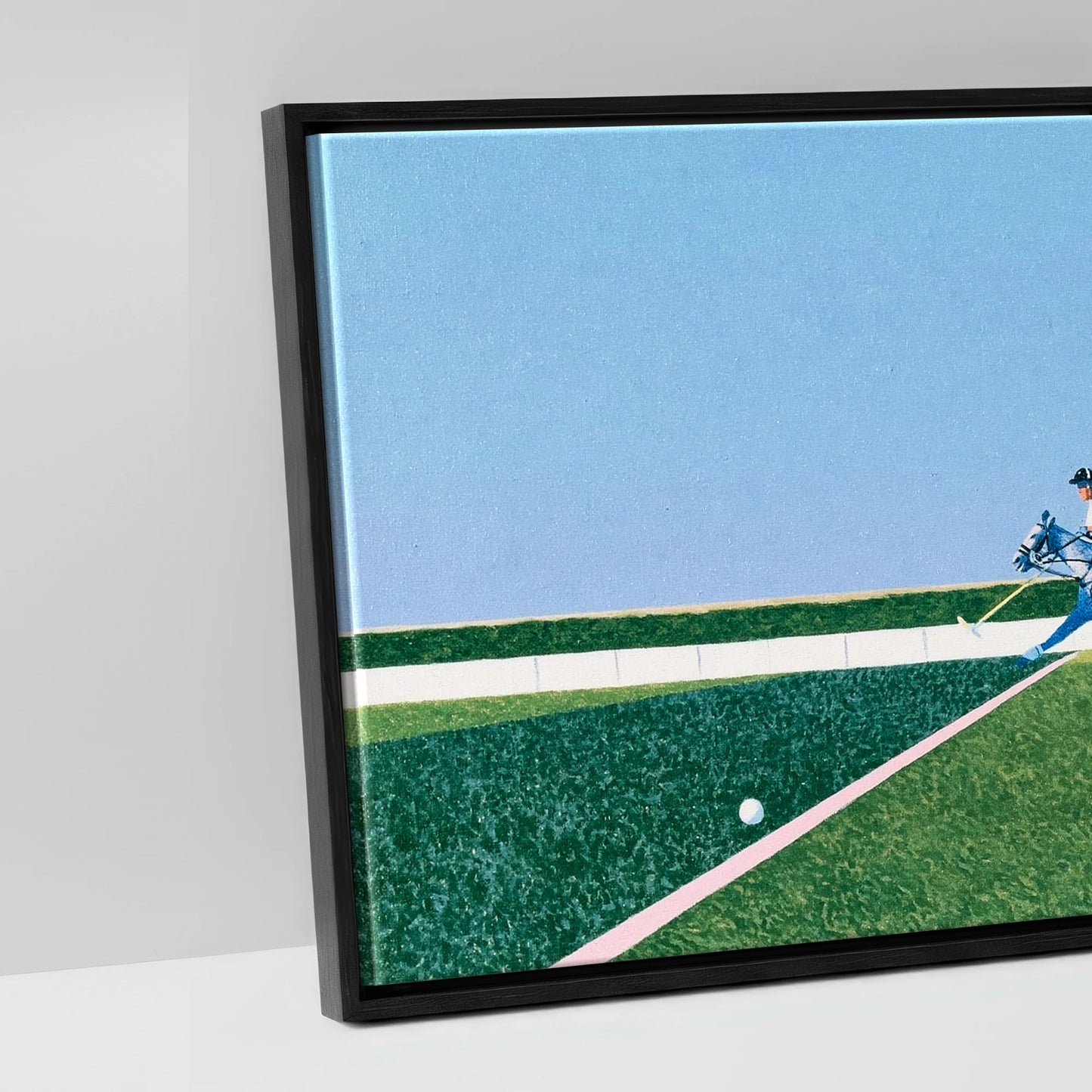 Rhythm of the Chukka - artwork detail in a black float frame