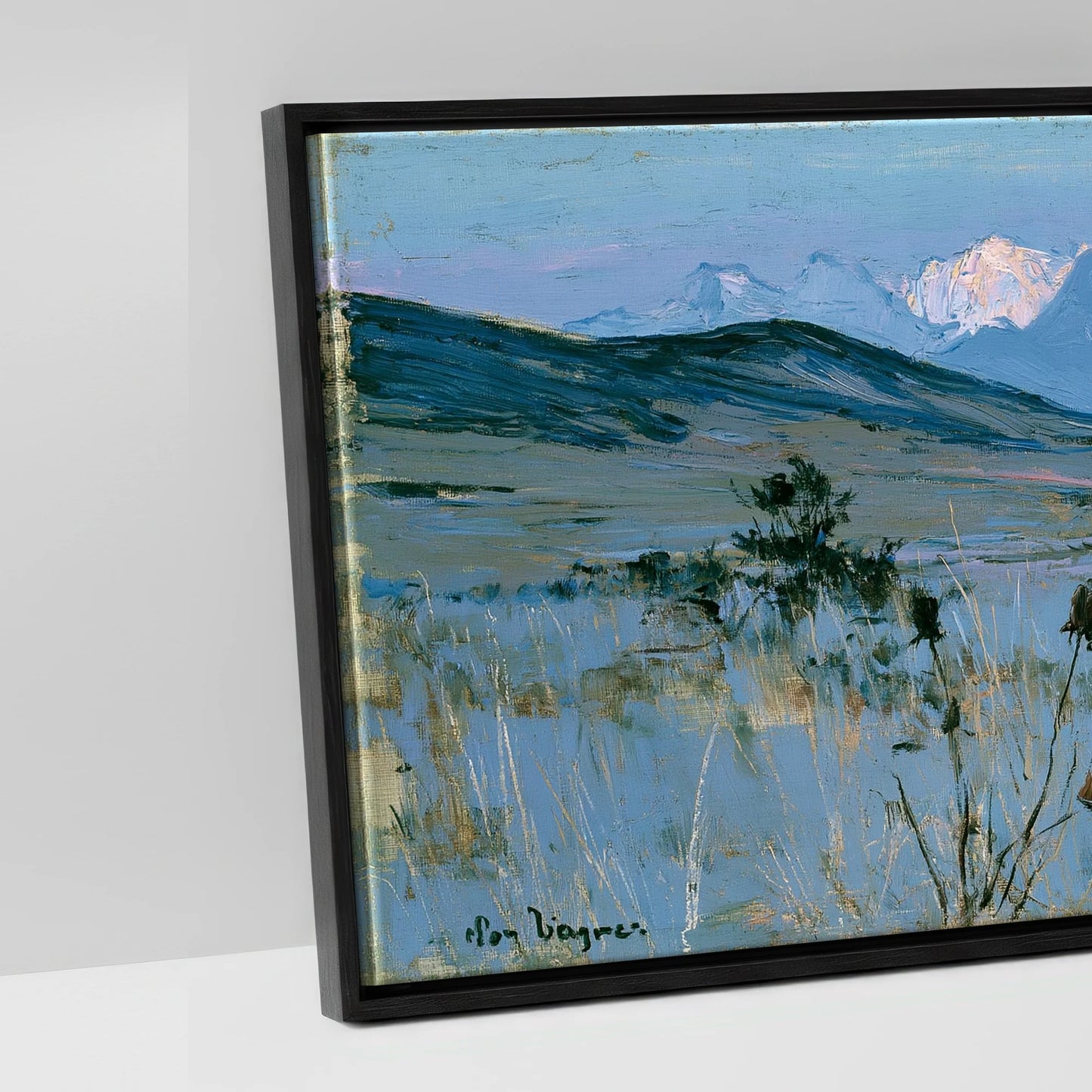 High Country Sentinel - artwork detail in a black float frame