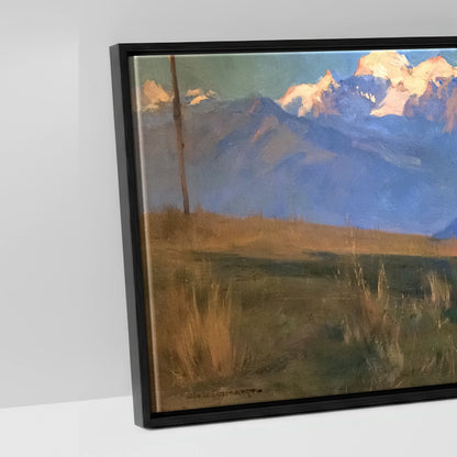 Alpine Slumber - artwork detail in a black float frame