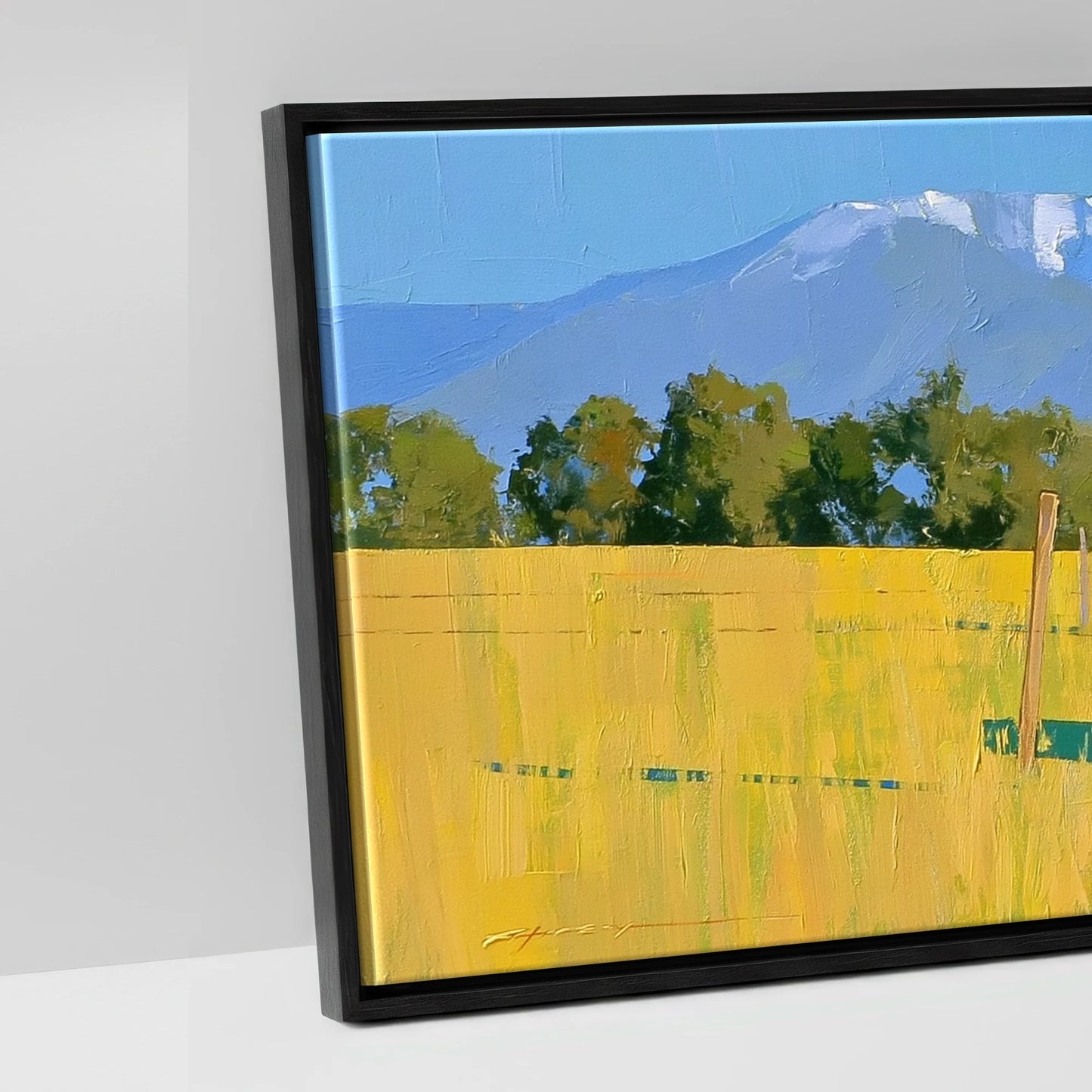High Country Summer - artwork detail in a black float frame