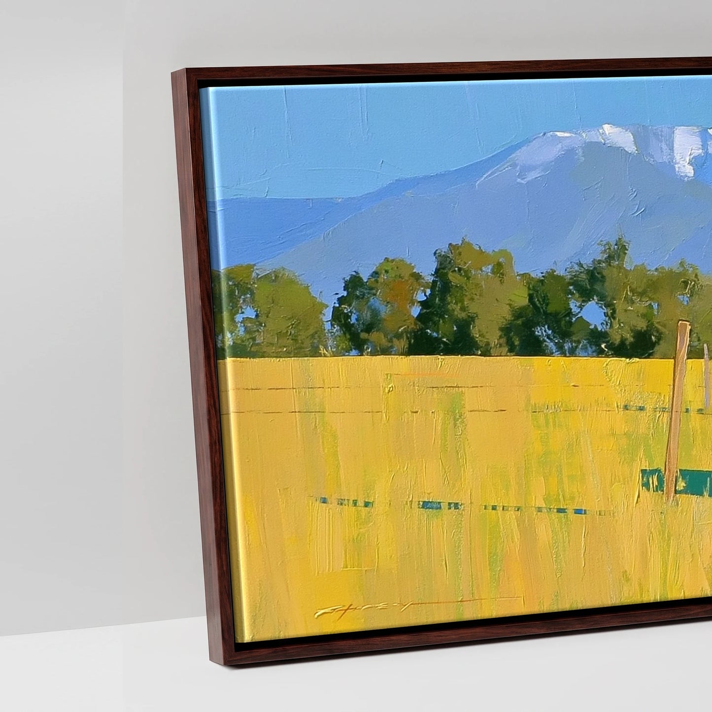 High Country Summer - artwork detail in a brown float frame