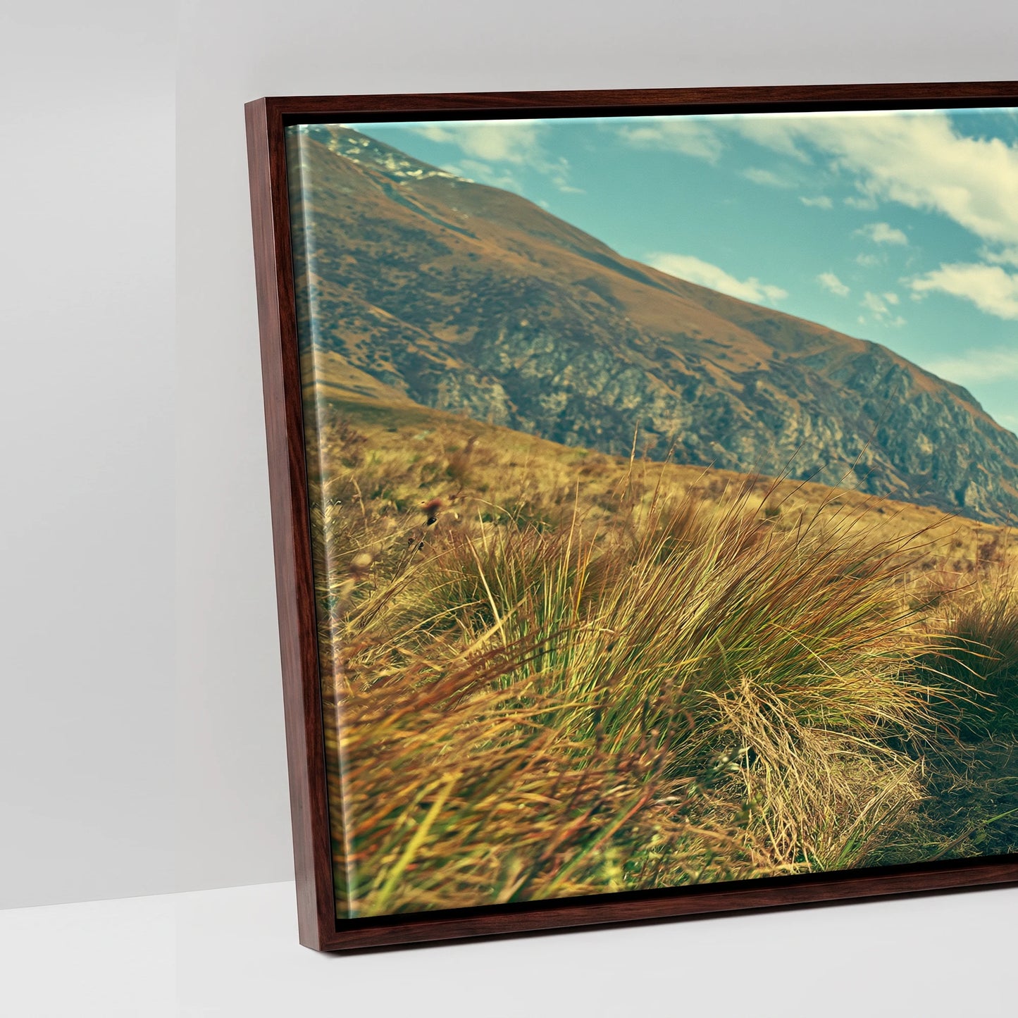The High Pass - artwork detail in a brown float frame