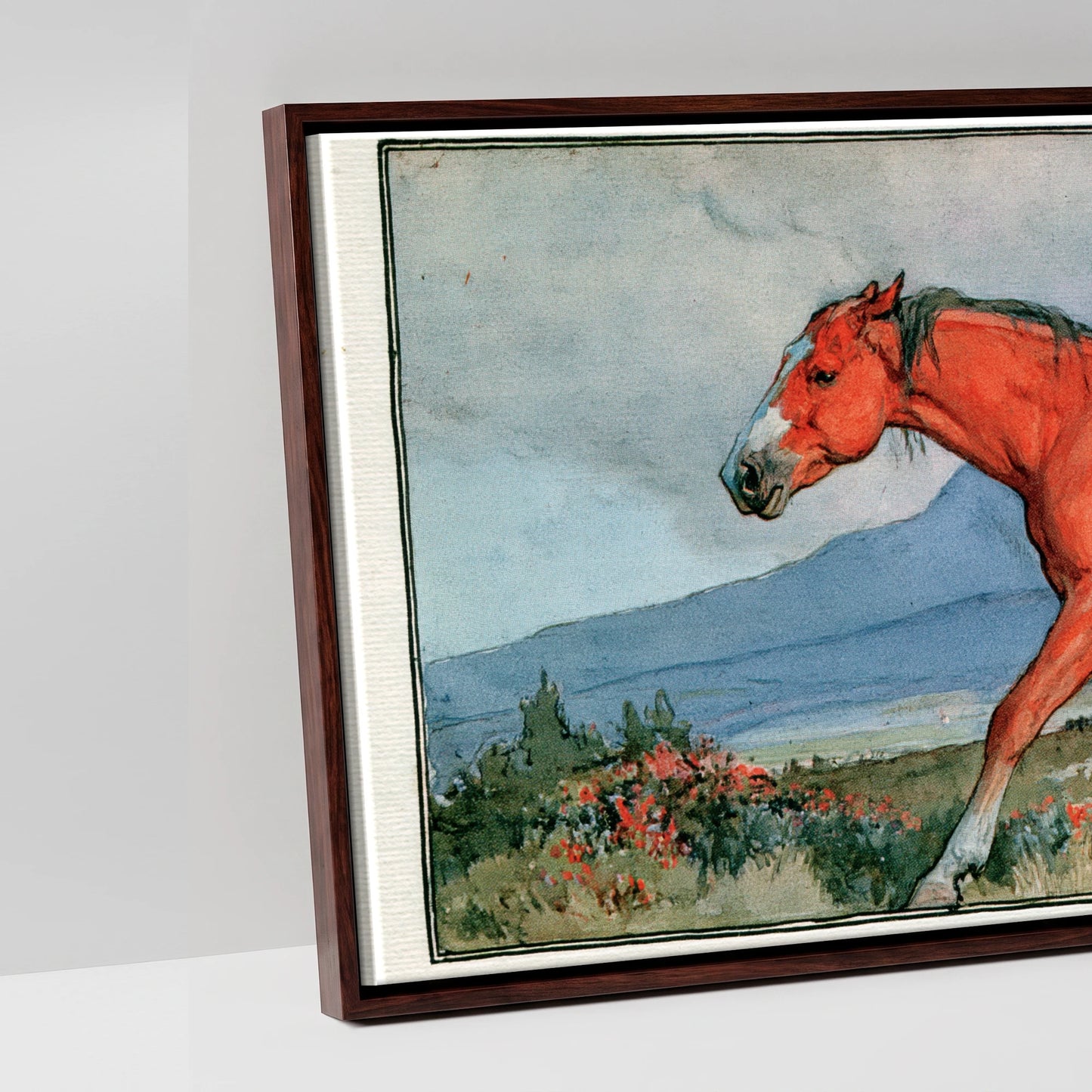 Mountain Wanderer - artwork detail in a brown float frame