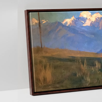 Alpine Slumber - artwork detail in a brown float frame