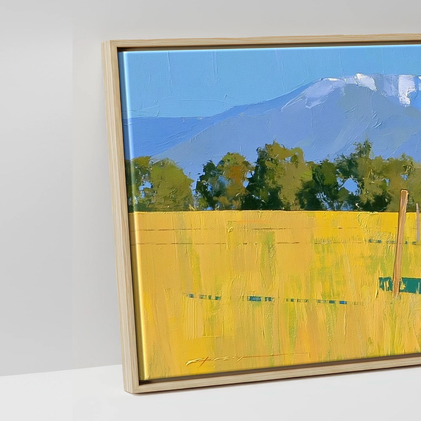 High Country Summer - artwork detail in a natural float frame