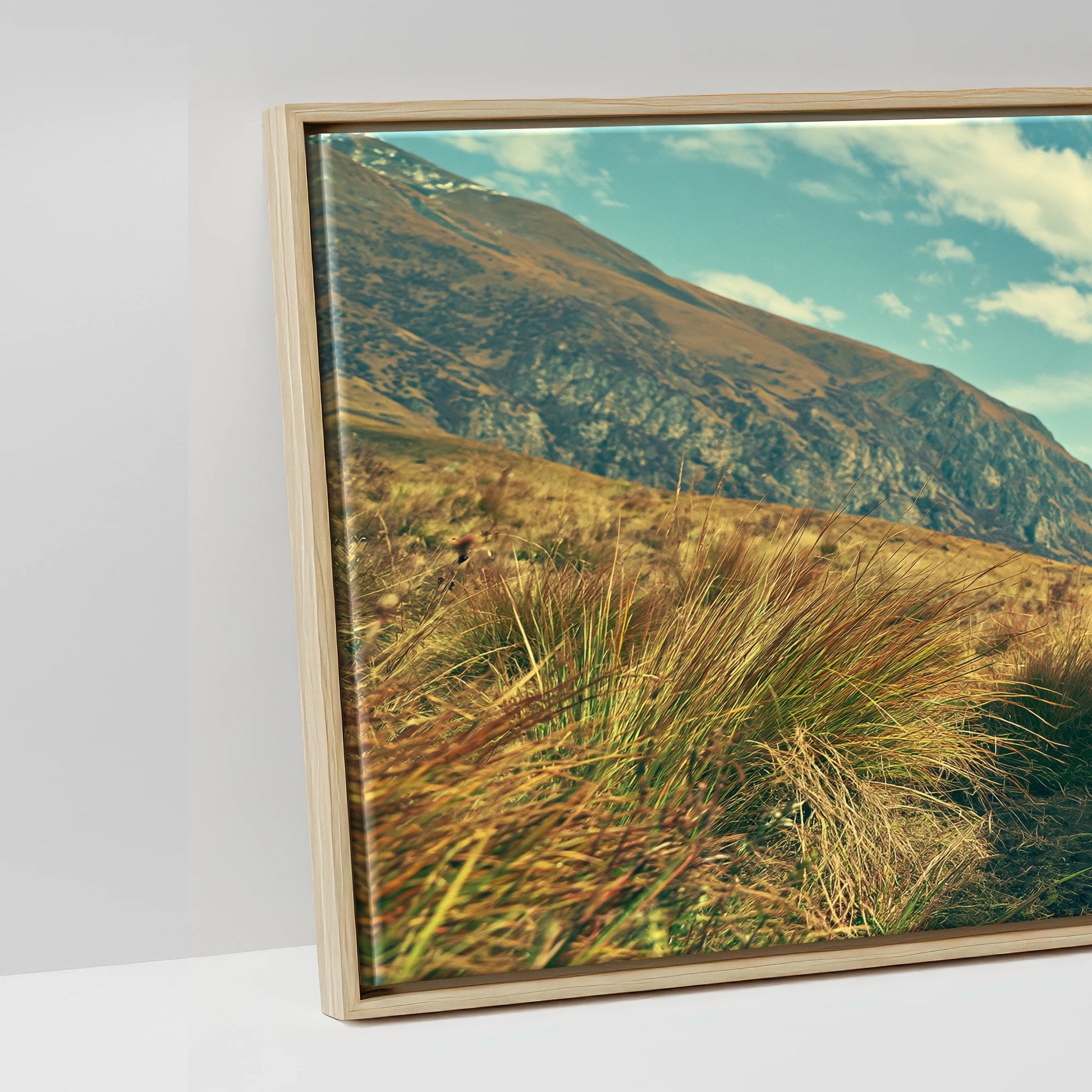 The High Pass - artwork detail in a natural float frame