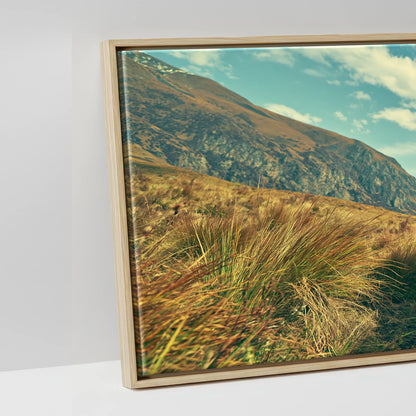 The High Pass - artwork detail in a natural float frame