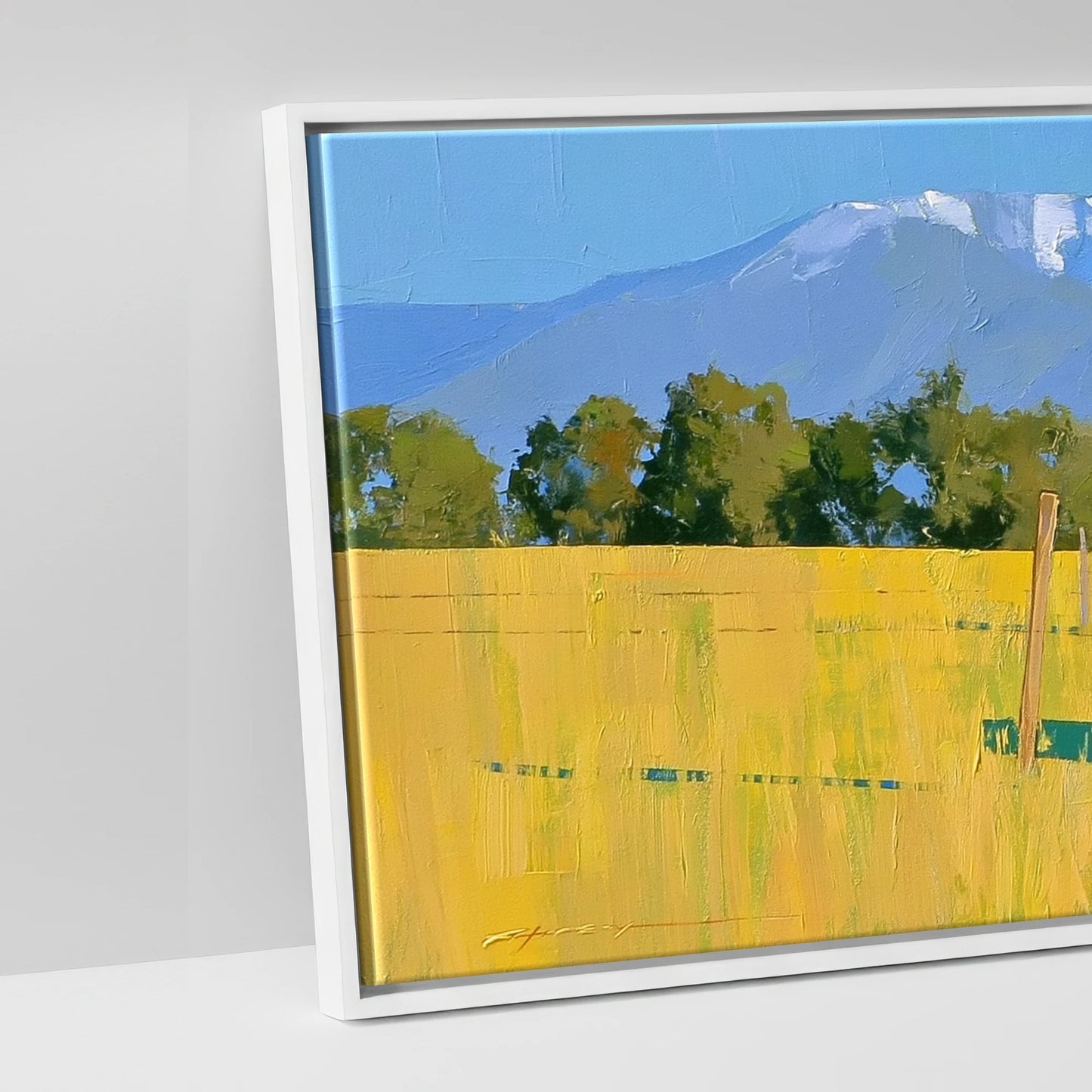 High Country Summer - artwork detail in a white float frame