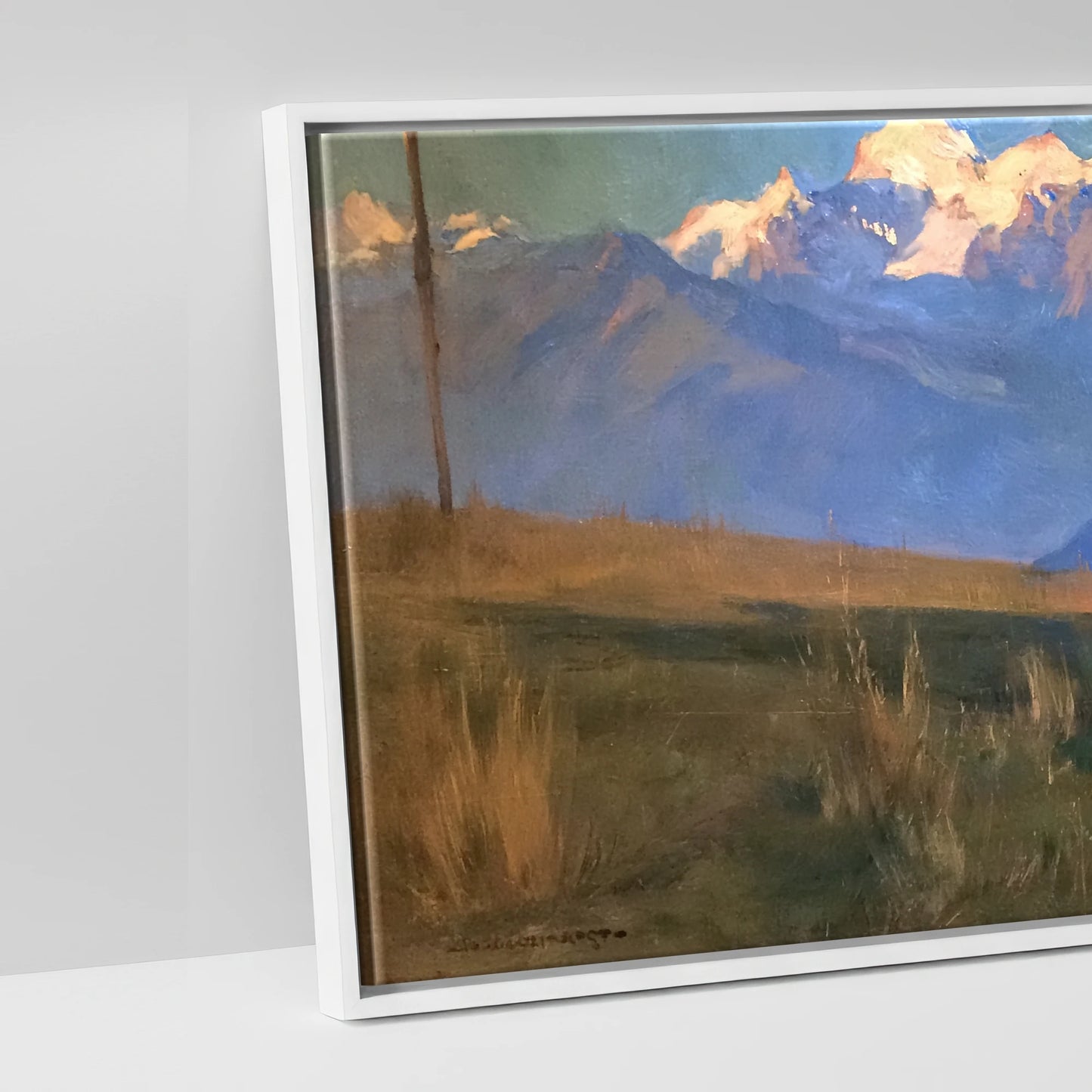 Alpine Slumber - artwork detail in a white float frame