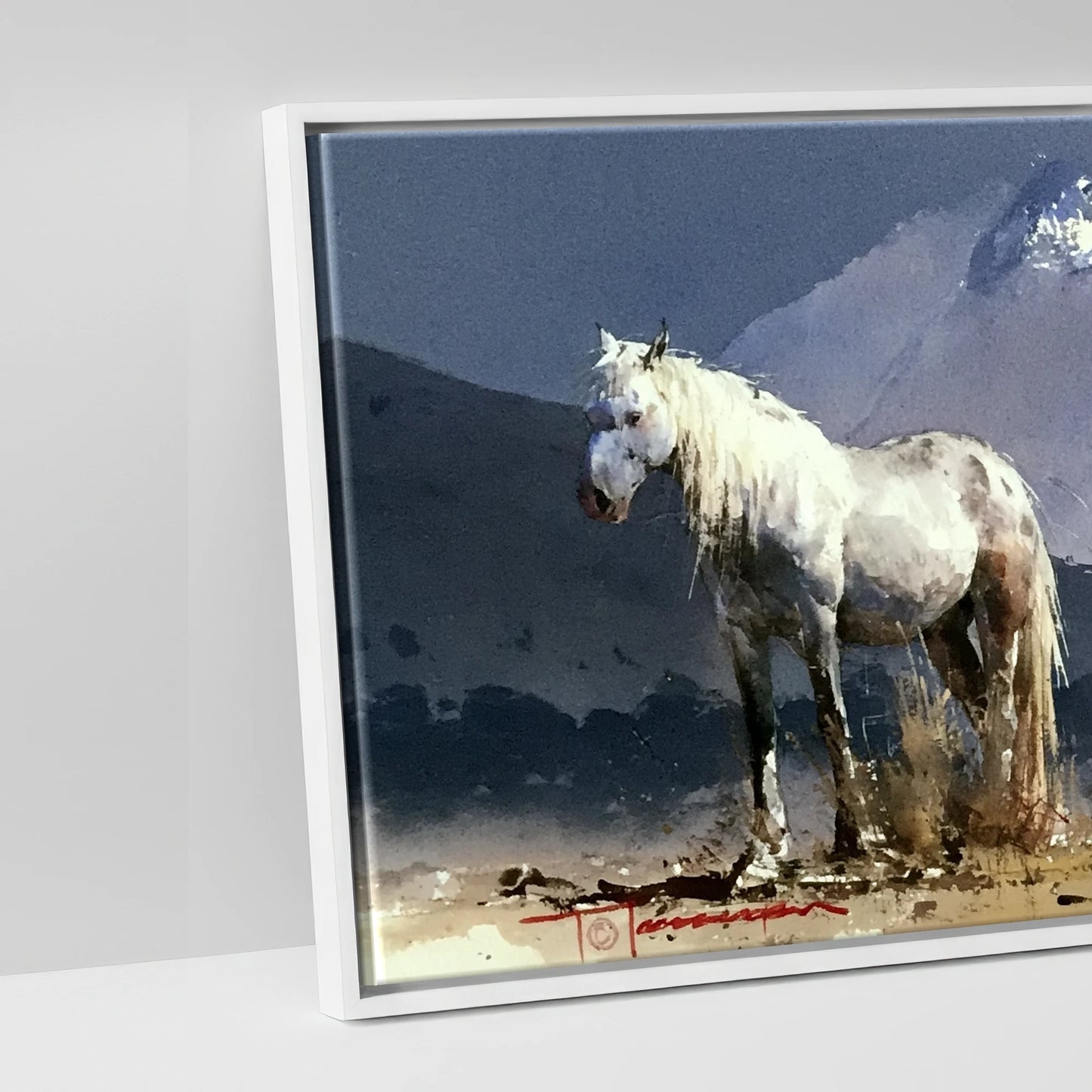 Mountain Solitude - artwork detail in a white float frame