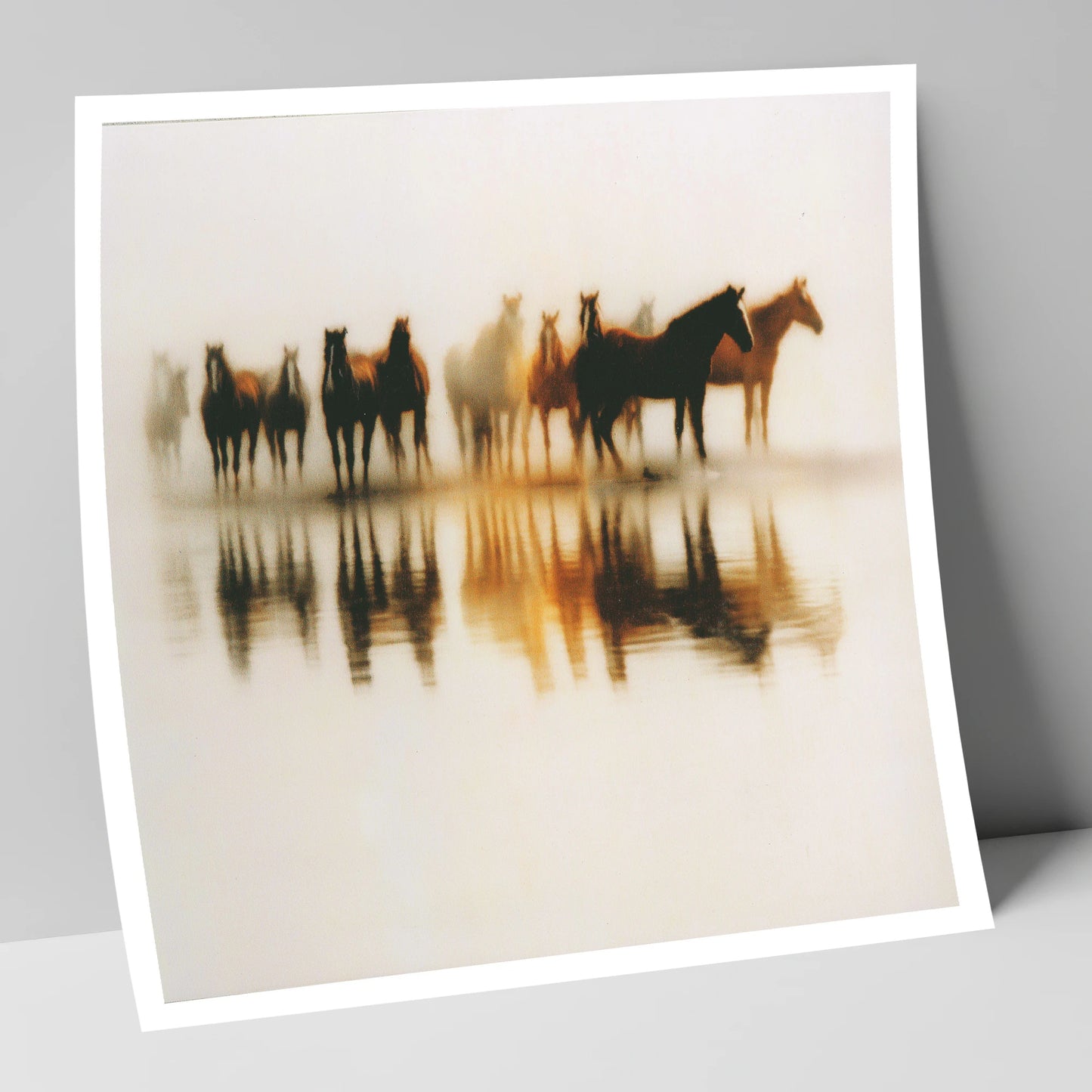 Mirrored in Mist wild horses art print