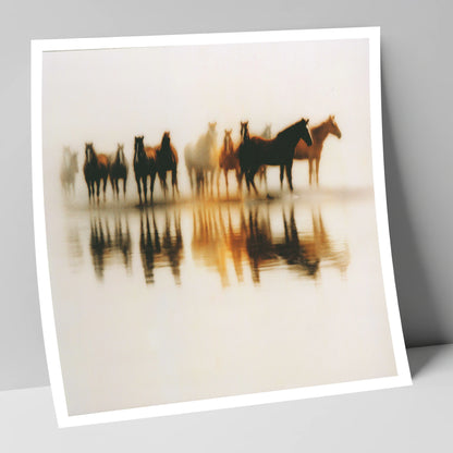 Mirrored in Mist wild horses art print