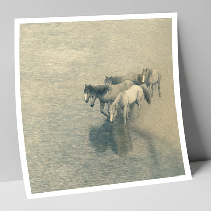Reflections of the Herd wild horses art print