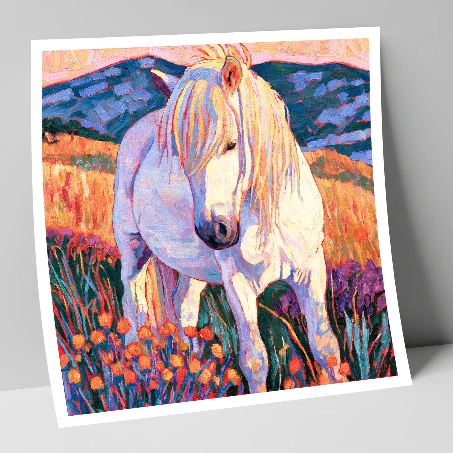 White Horse Among Orange Wildflowers horse breed art print