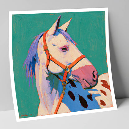 Colourful Appaloosa on Teal Background horse breed art print