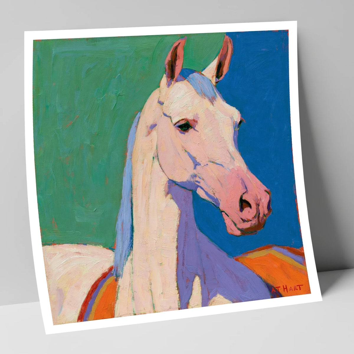 Vibrant Grey Arabian Horse horse breed art print
