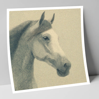 Noble Engraved Profile horse breed art print