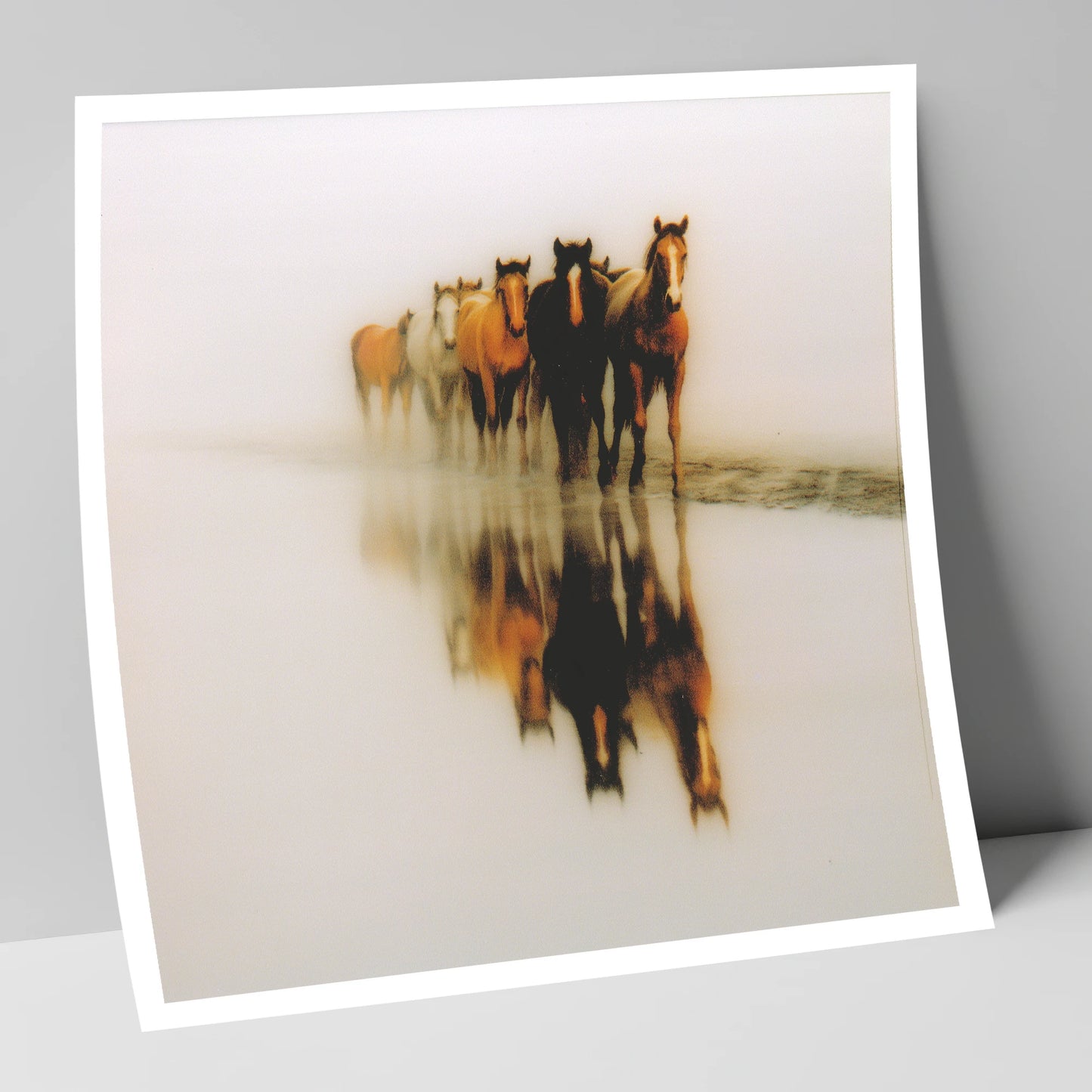 Emerging From The Mist wild horses art print